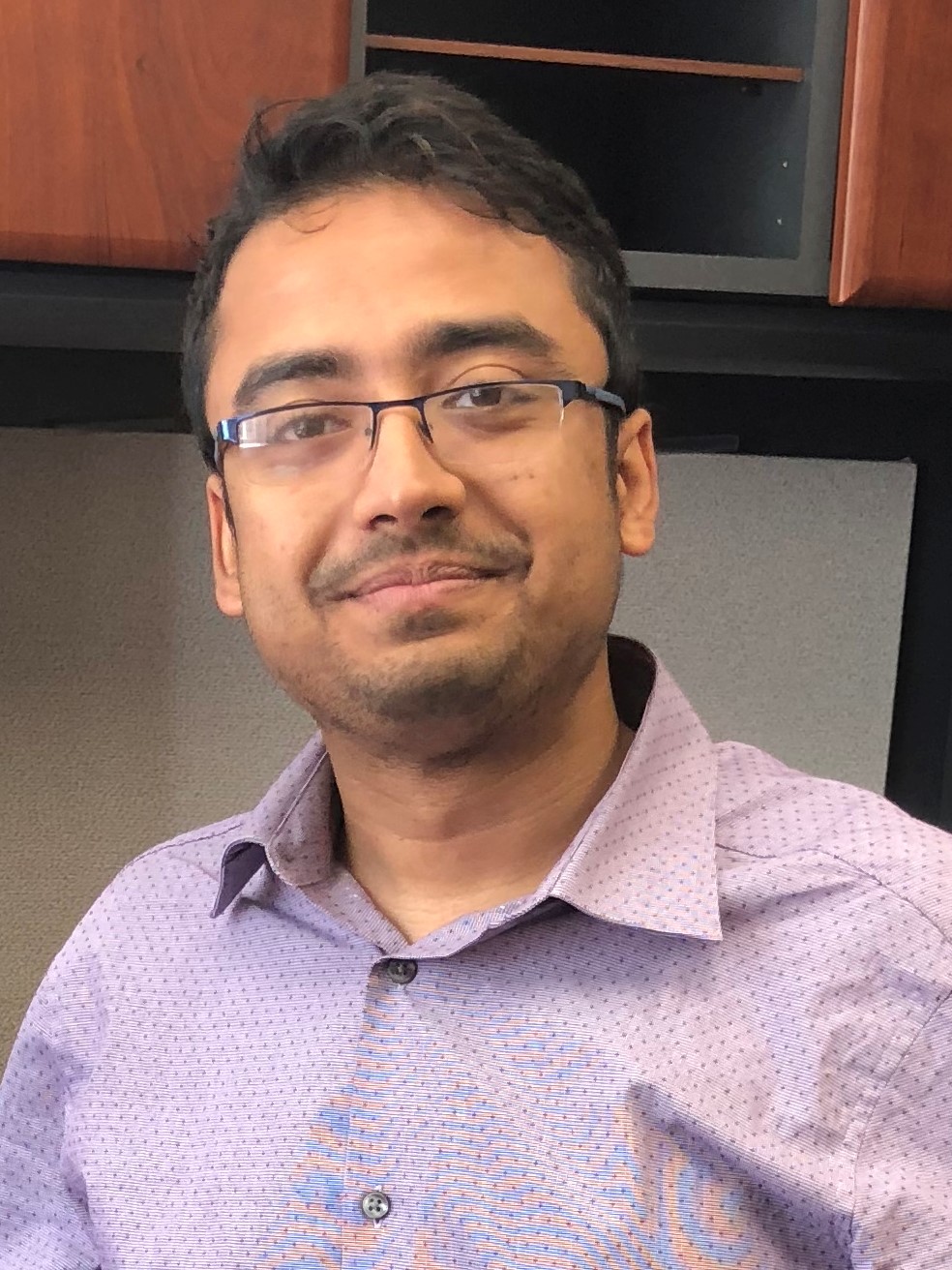 Professional headshot of Sayar Karmakar, Assistant Professor